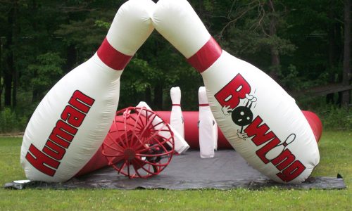 Human Bowling 2