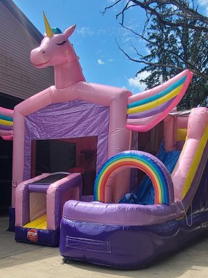 Unicorn 2 (2)