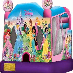 disney princess combo