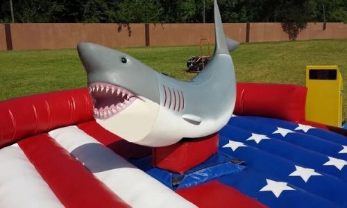 mechanical shark